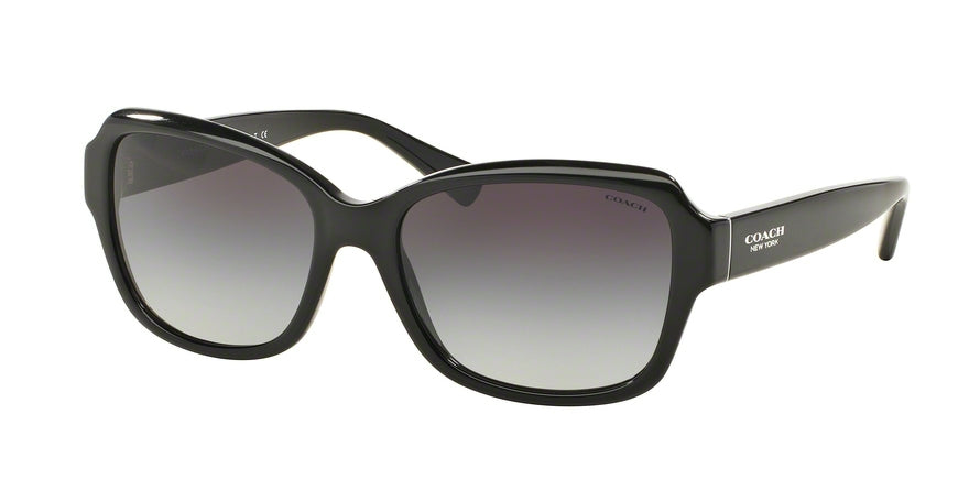 Coach HC8160 L145 Butterfly Sunglasses For Women