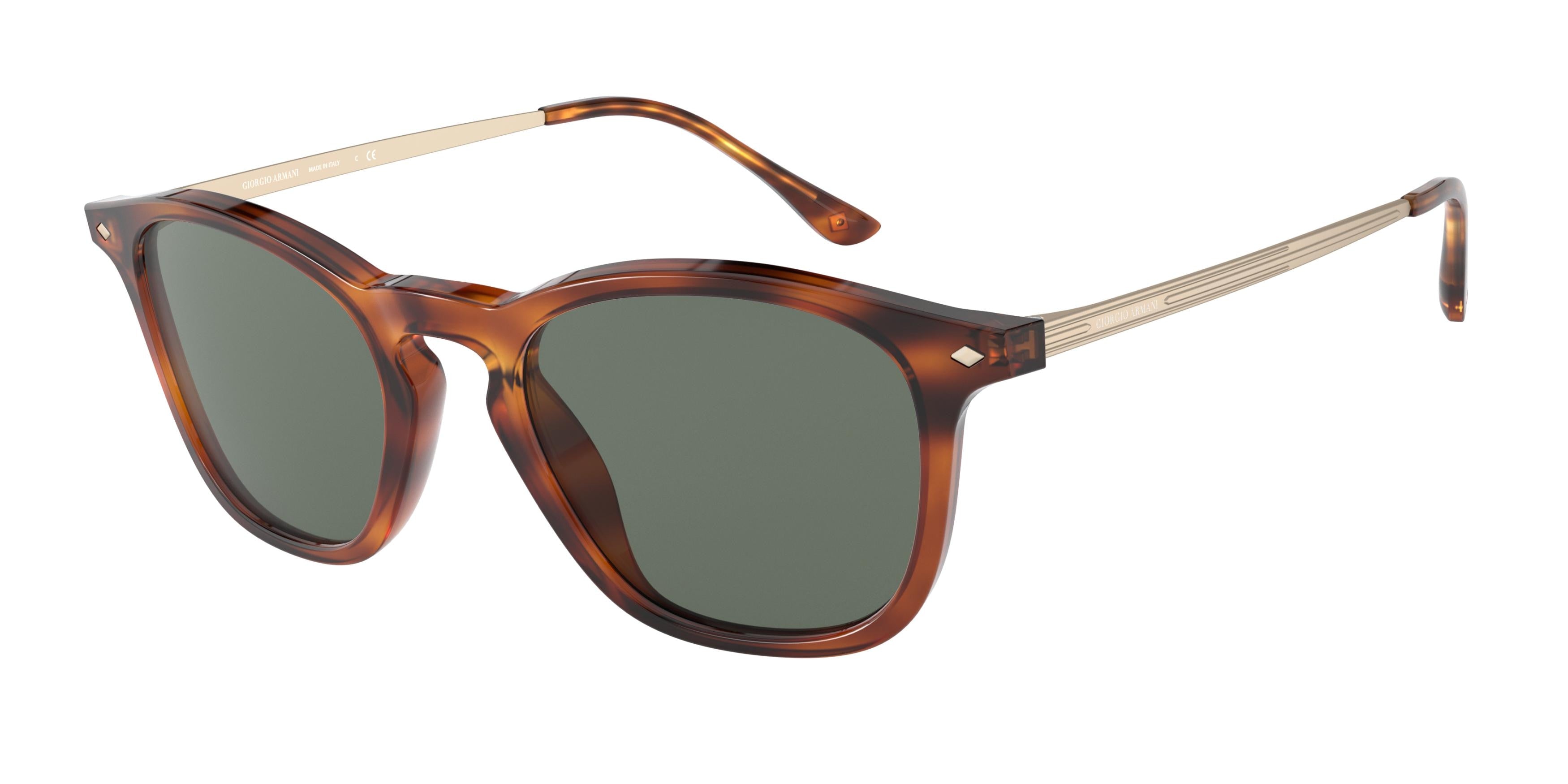 Giorgio Armani AR8128F Phantos Sunglasses  581071-Havana 54-145-21 - Color Map Tortoise