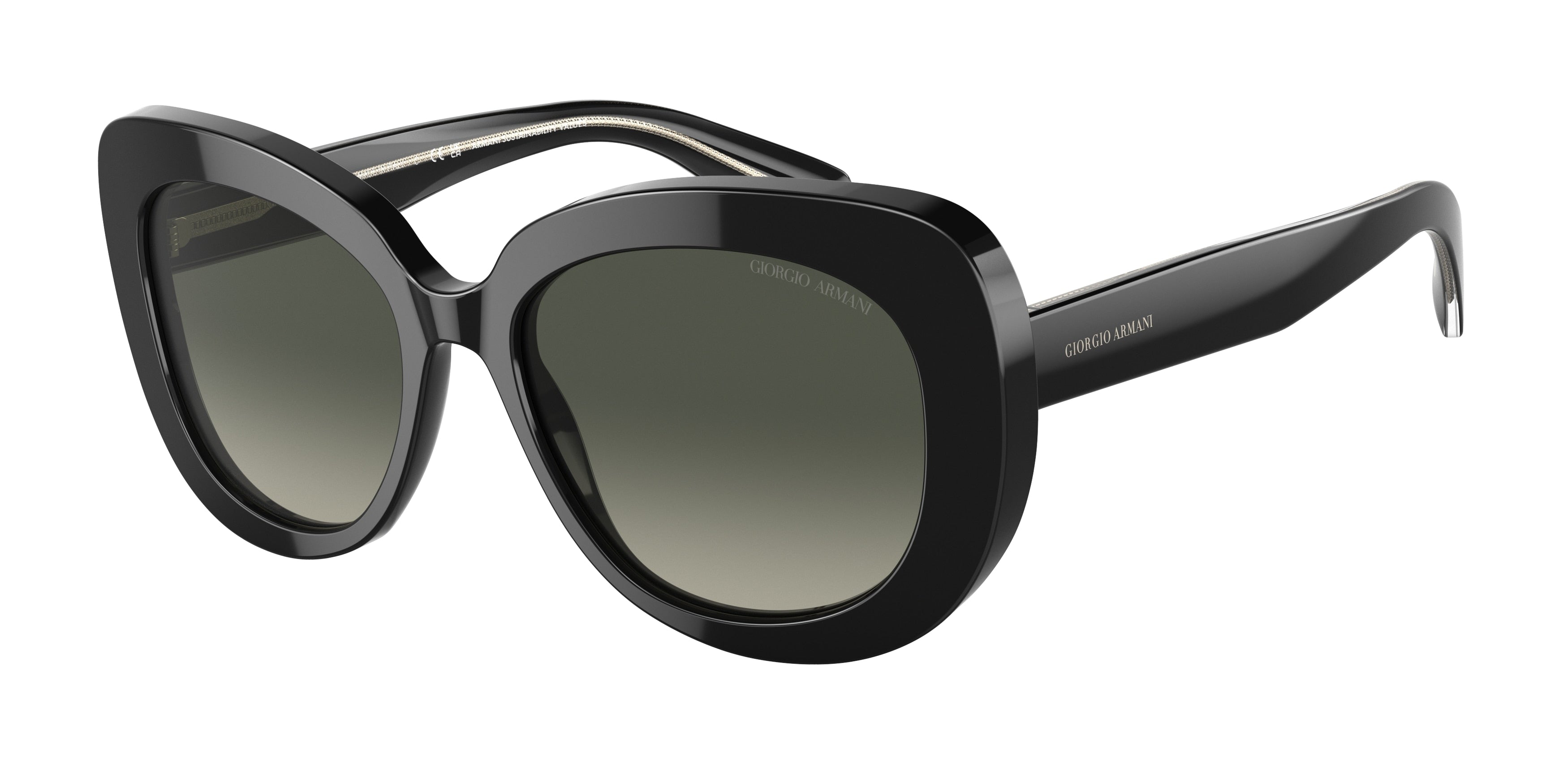 Giorgio Armani AR8168 Oval Sunglasses  587571-Black 53-140-17 - Color Map Black