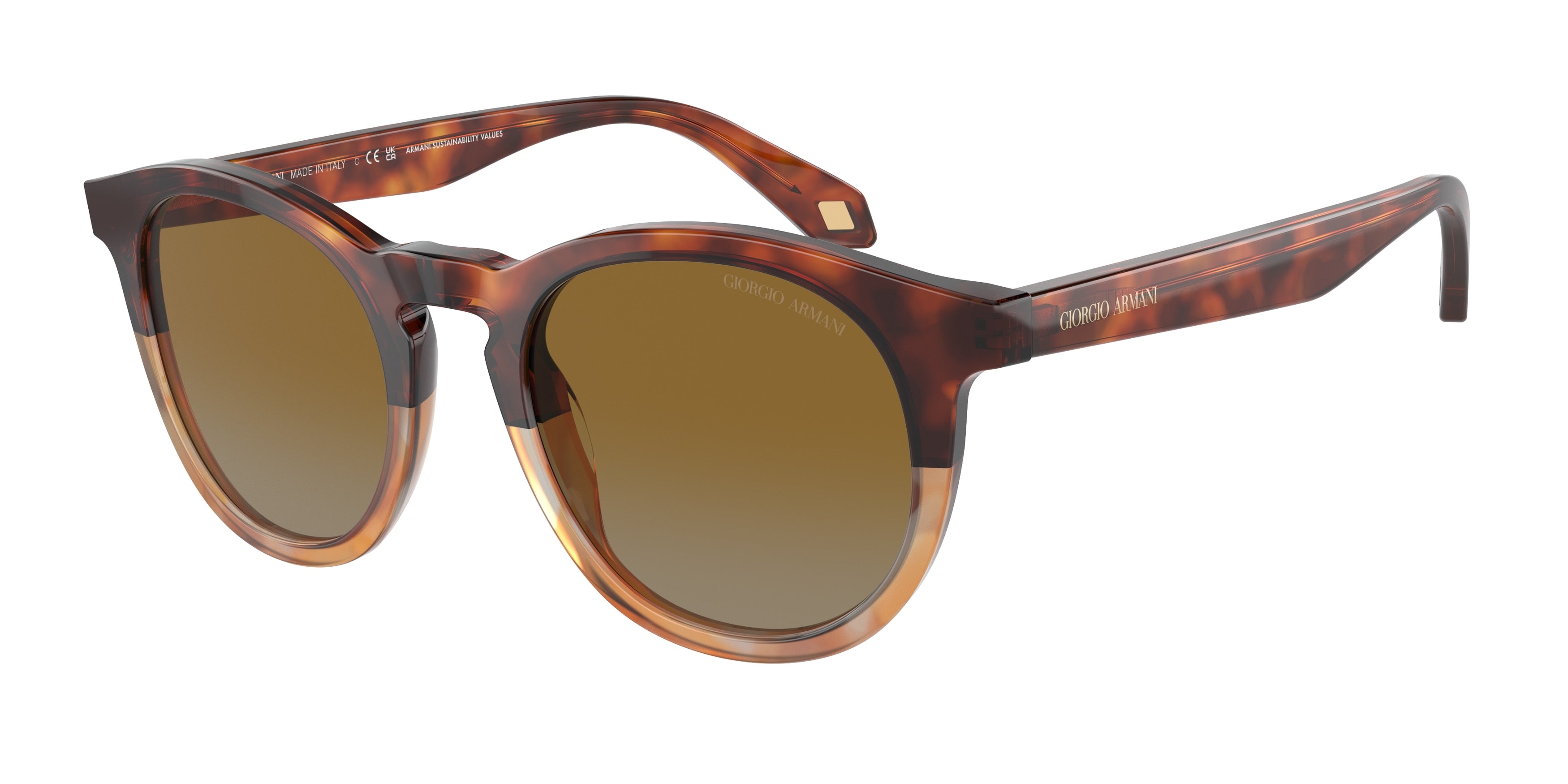 Giorgio Armani AR8192F Phantos Sunglasses  6034B2-Red Havana/Honey Havana 50-145-21 - Color Map Brown