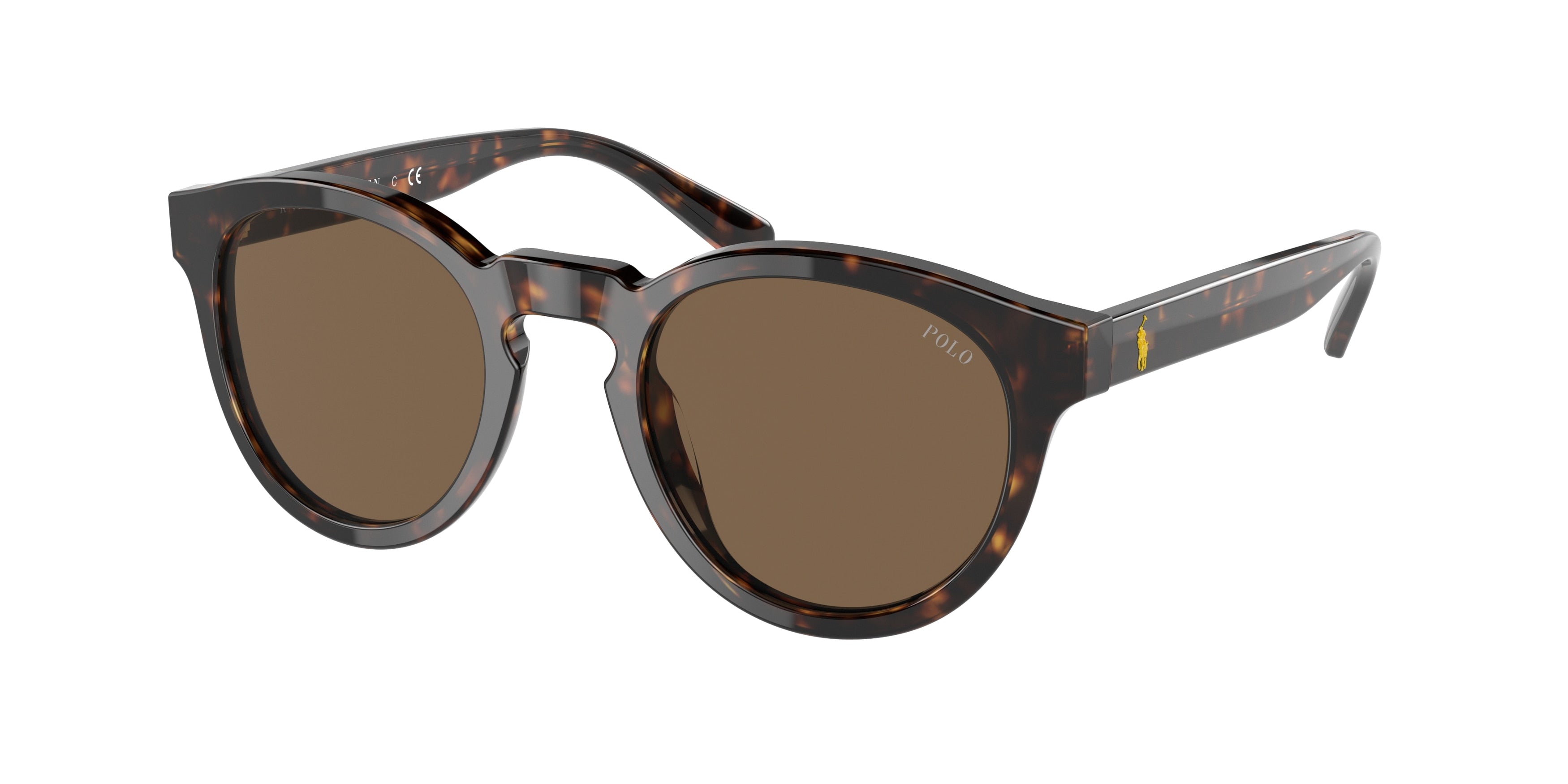 Polo PH4184F Phantos Sunglasses  500373-Shiny Dark Havana 53-145-20 - Color Map Tortoise