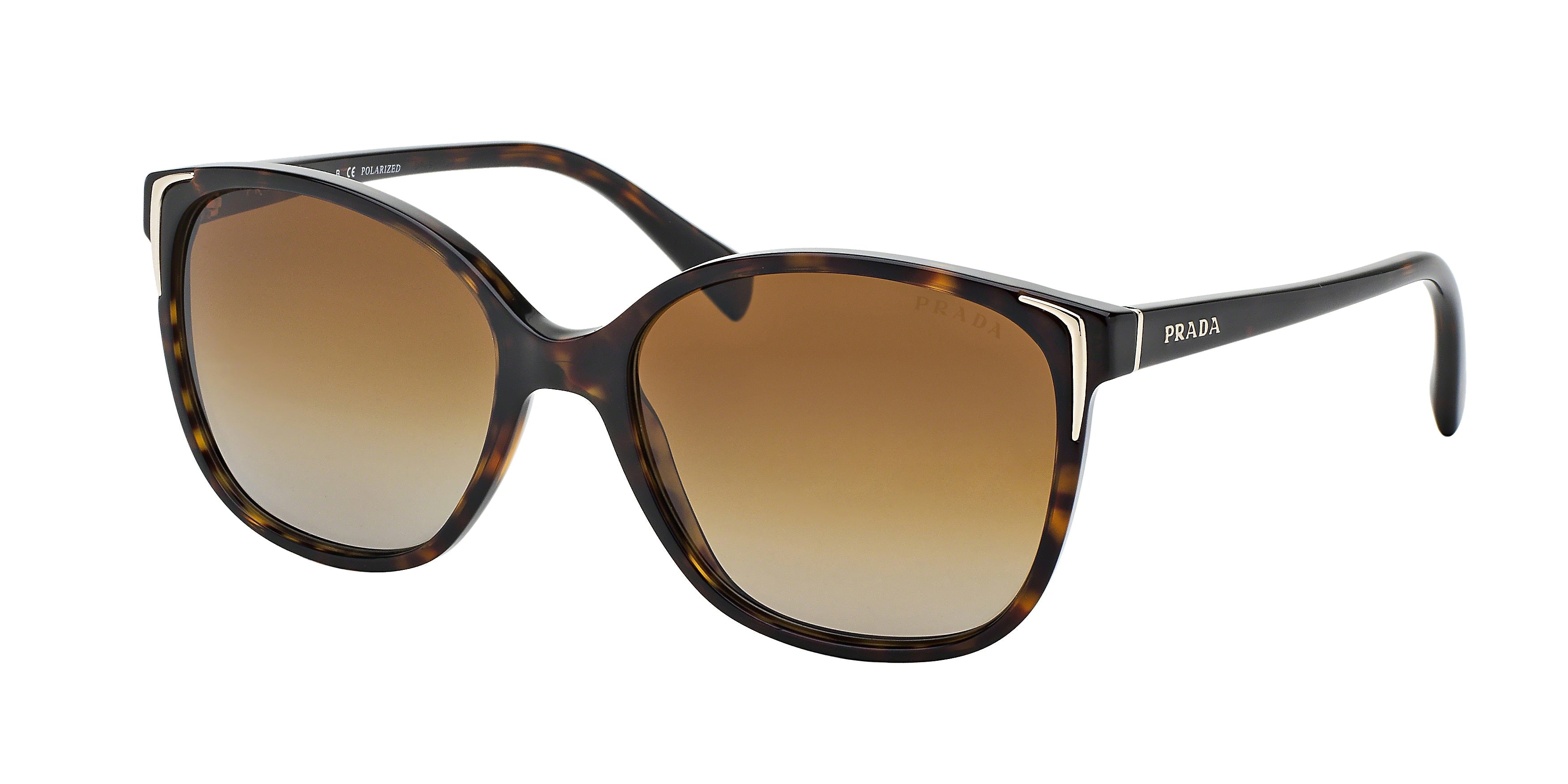 Prada CONCEPTUAL PR01OS Square Sunglasses  2AU6E1-Havana 55-140-17 - Color Map Tortoise