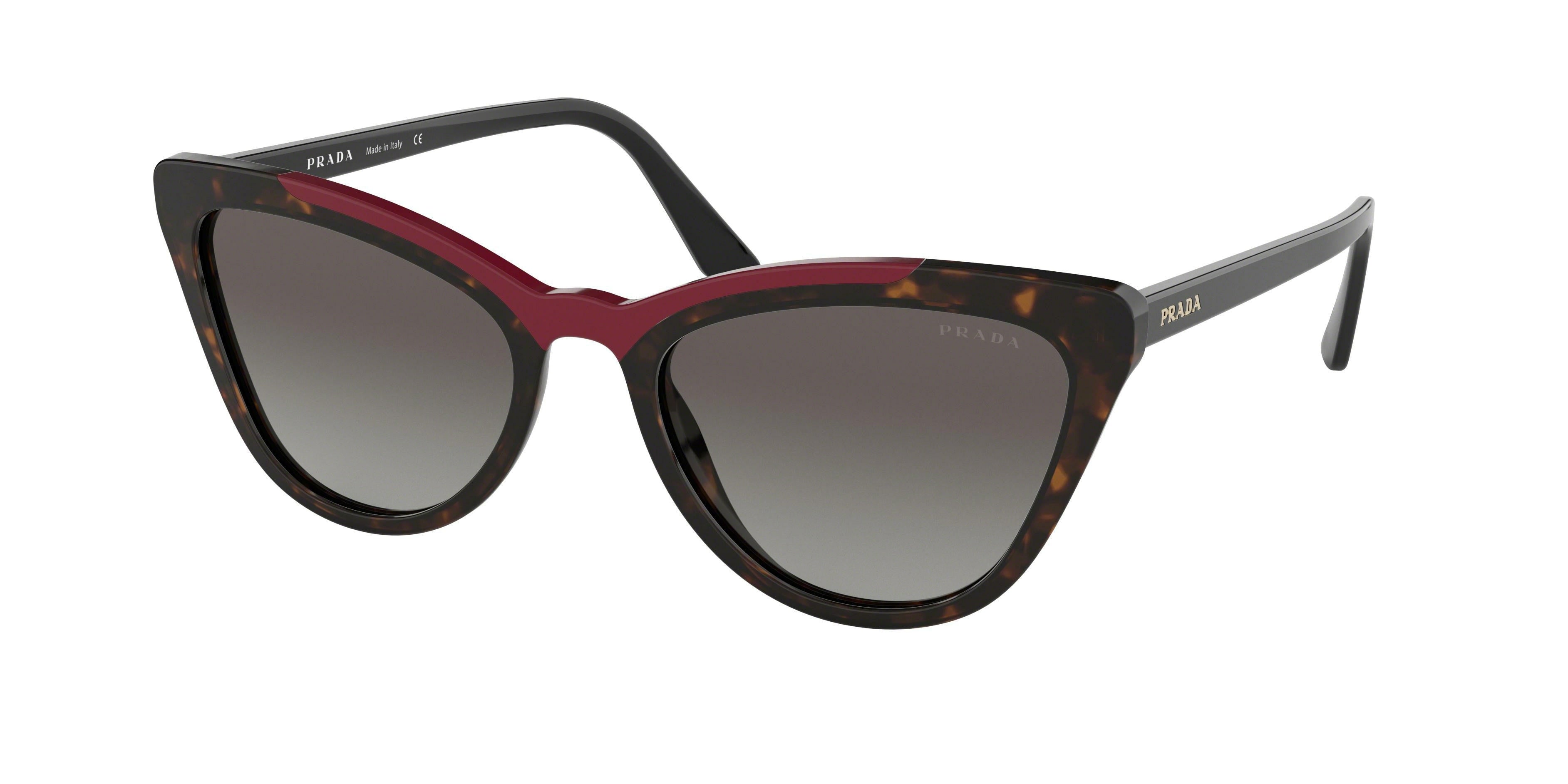 Prada CATWALK PR01VS Cat Eye Sunglasses  3200A7-Havana/Red 56-145-20 - Color Map Red