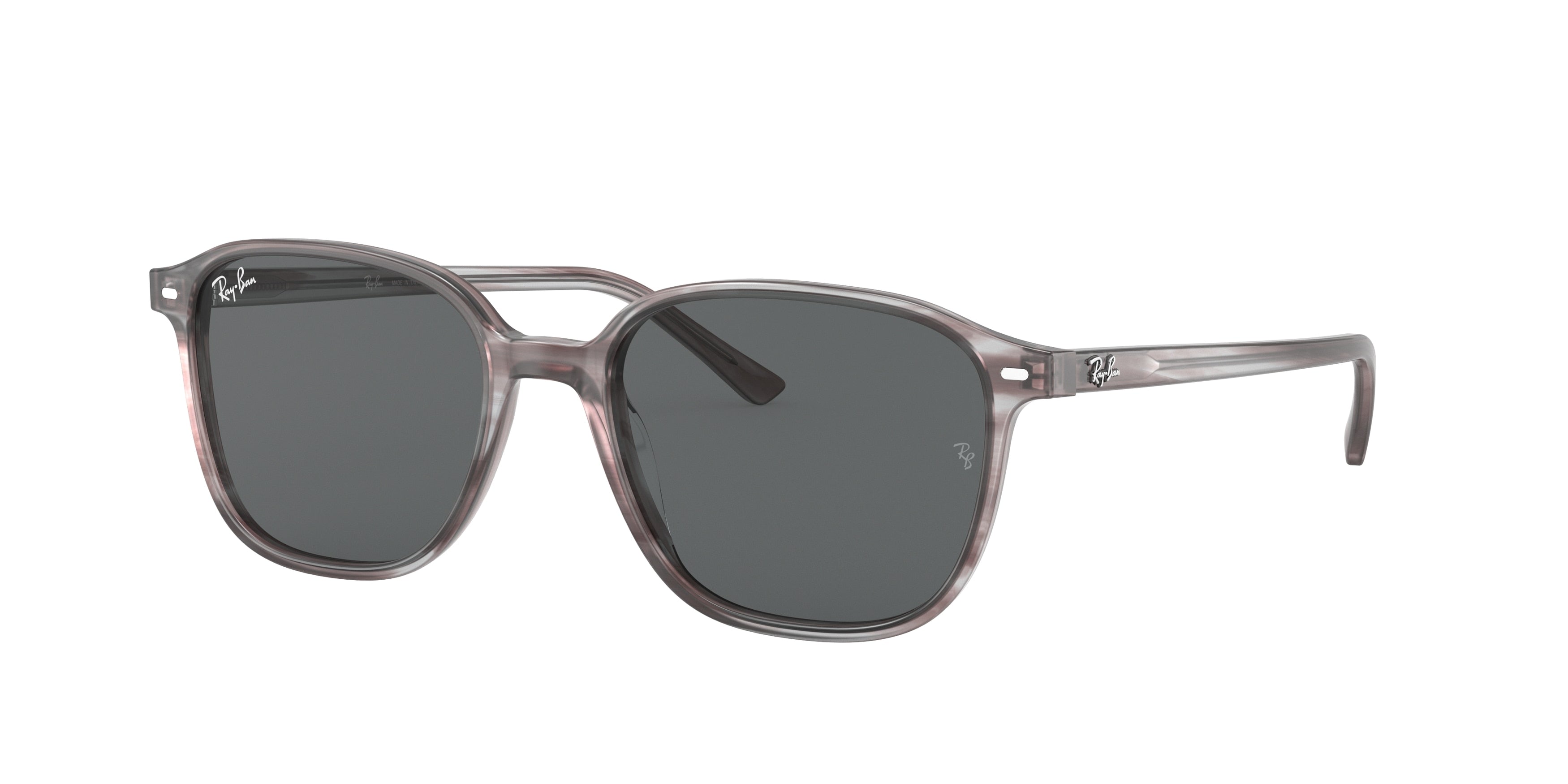 Ray-Ban LEONARD RB2193 Square Sunglasses