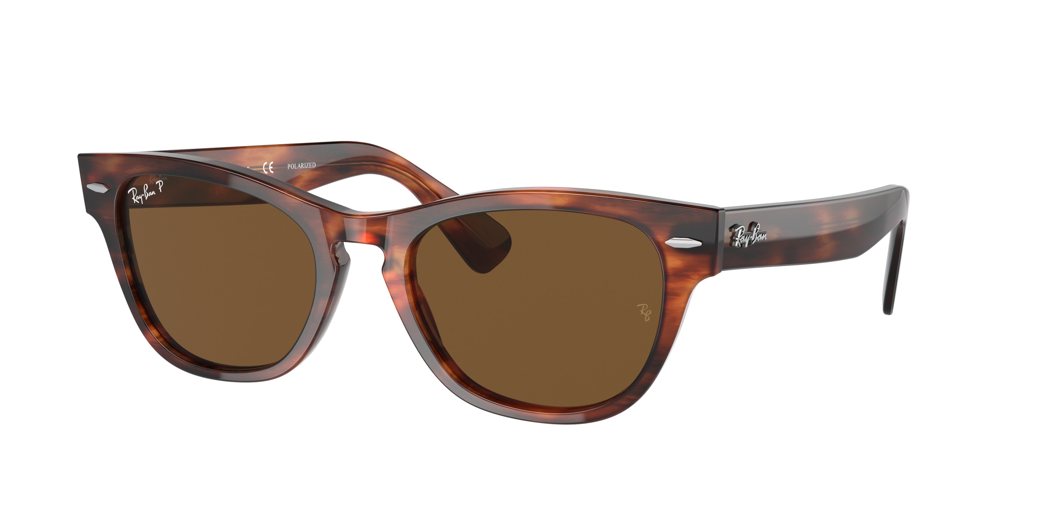 Ray-Ban LARAMIE RB2201 Irregular Sunglasses  954/57-Striped Havana 54-145-20 - Color Map Brown