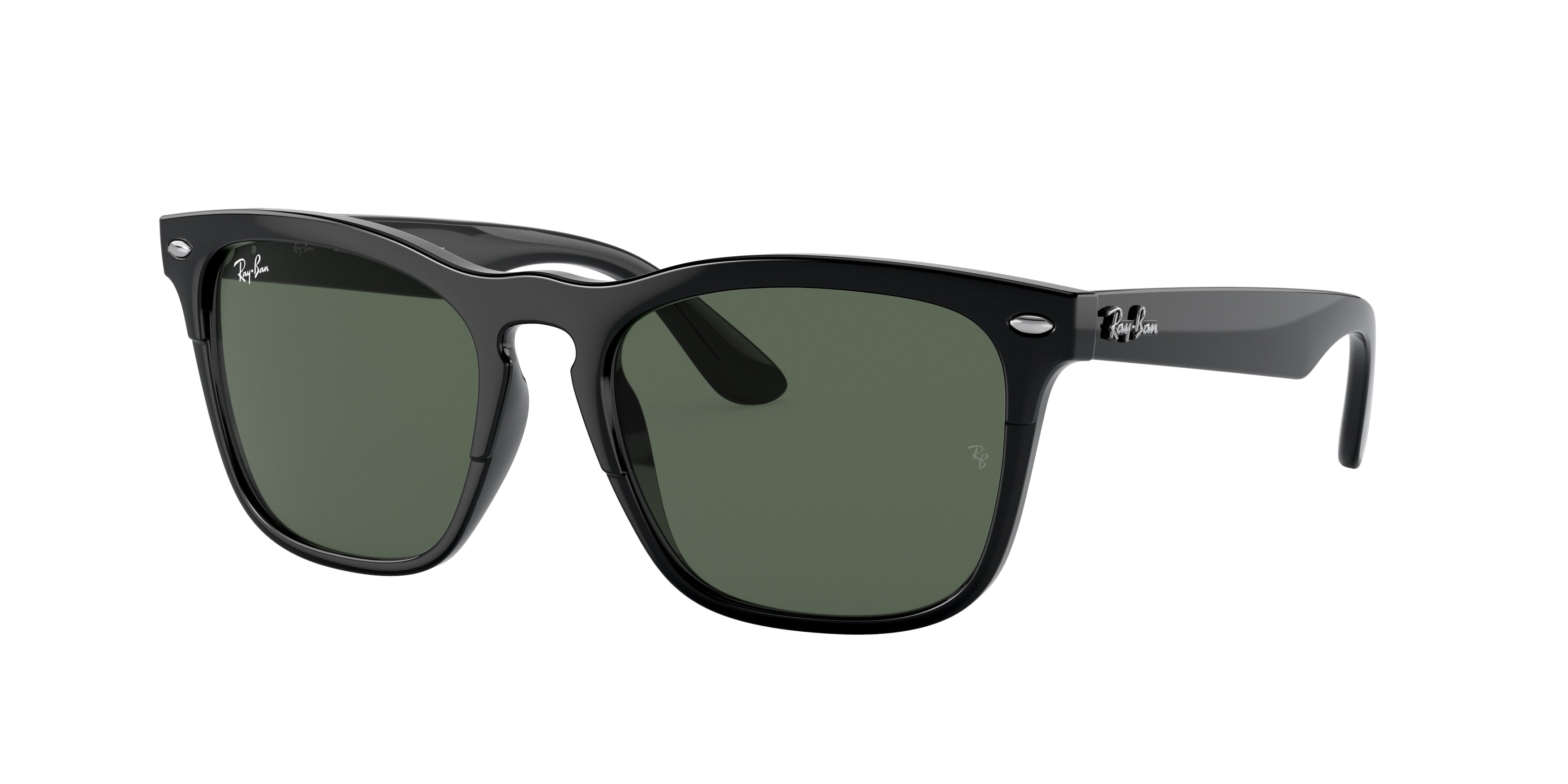 Ray-Ban STEVE RB4487 Square Sunglasses