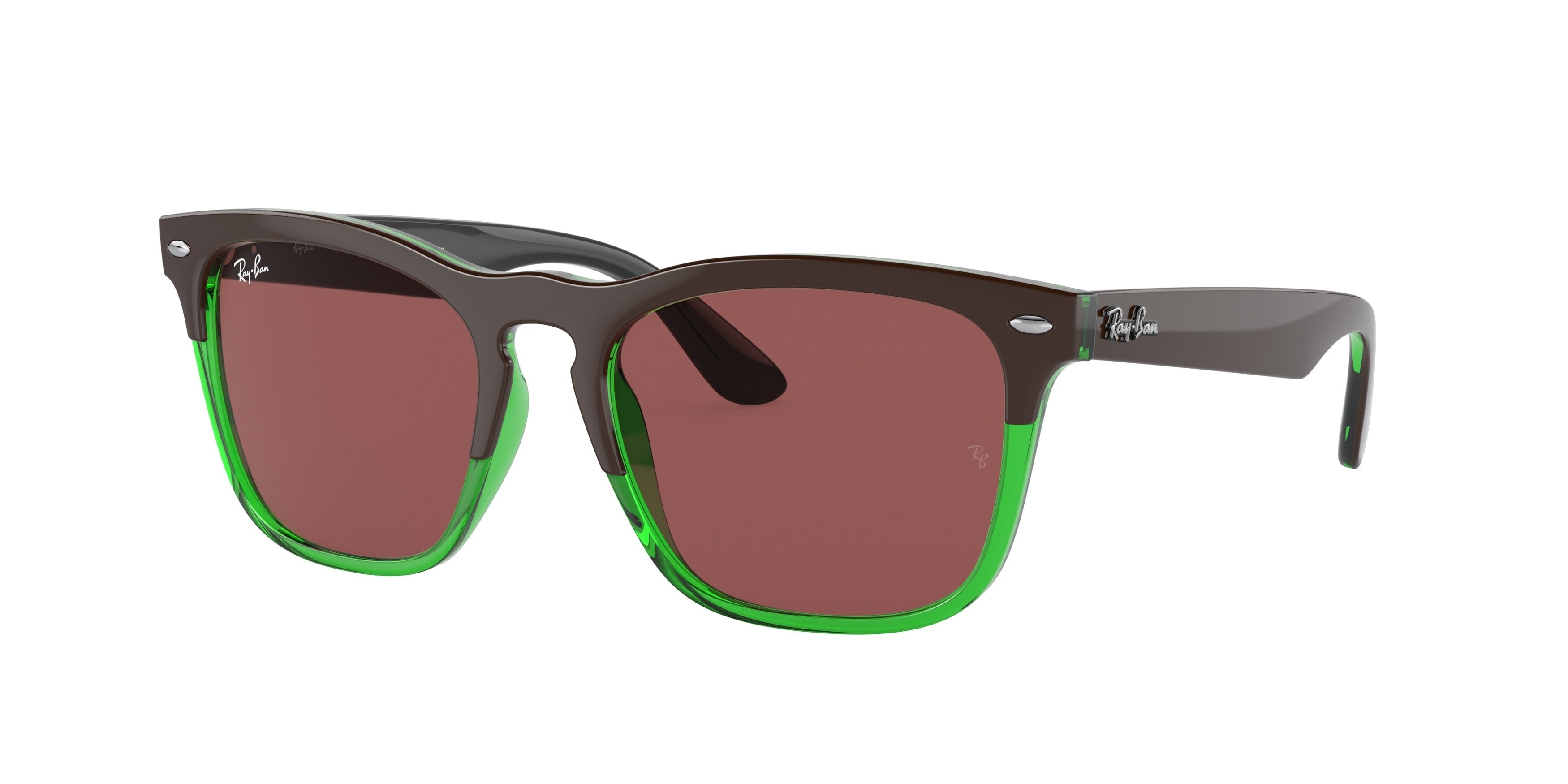 Ray-Ban STEVE RB4487 Square Sunglasses