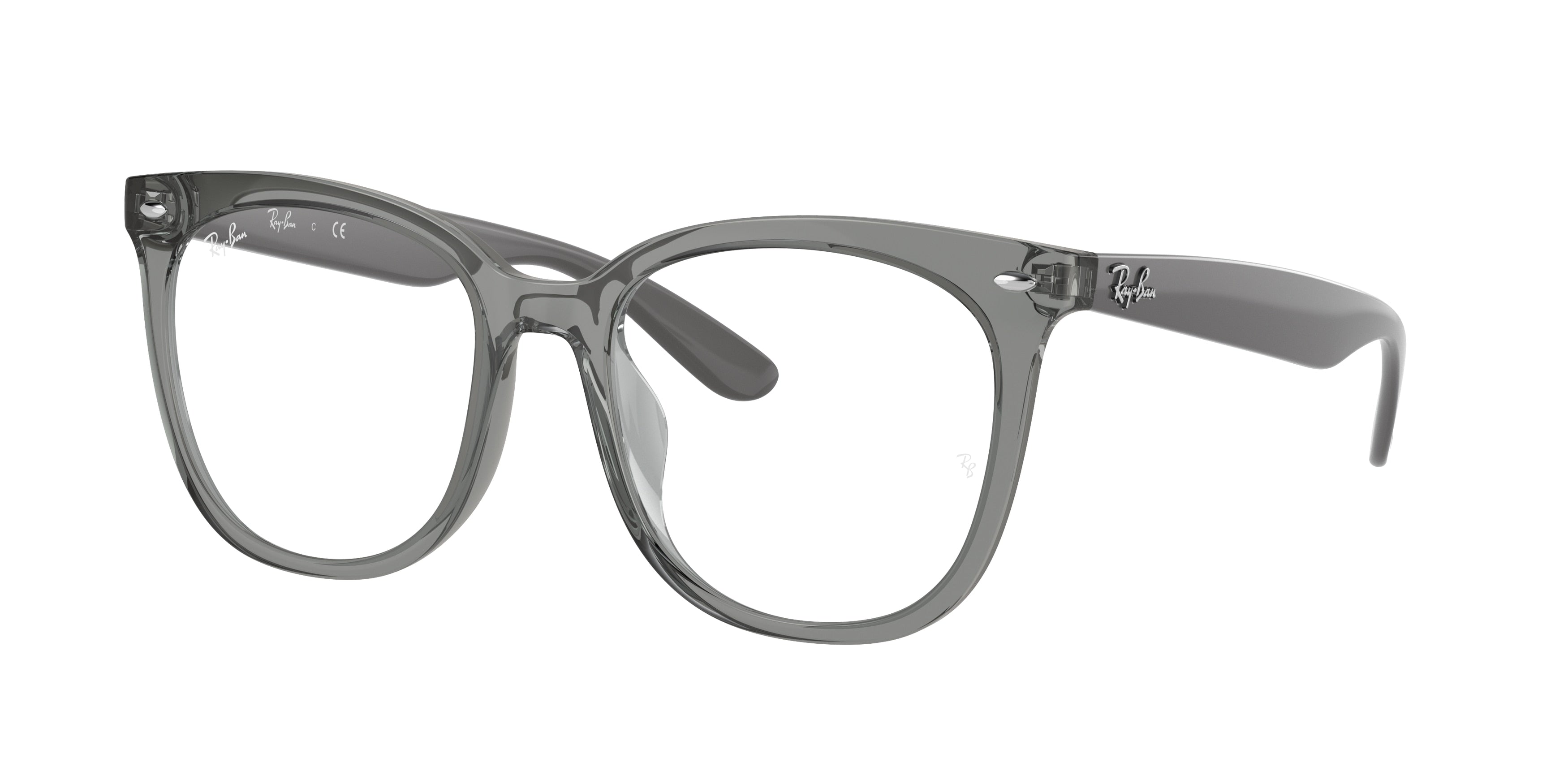 Ray-Ban Optical RX4379VD Square Eyeglasses  8170-Transparent Grey 53-150-19 - Color Map Grey