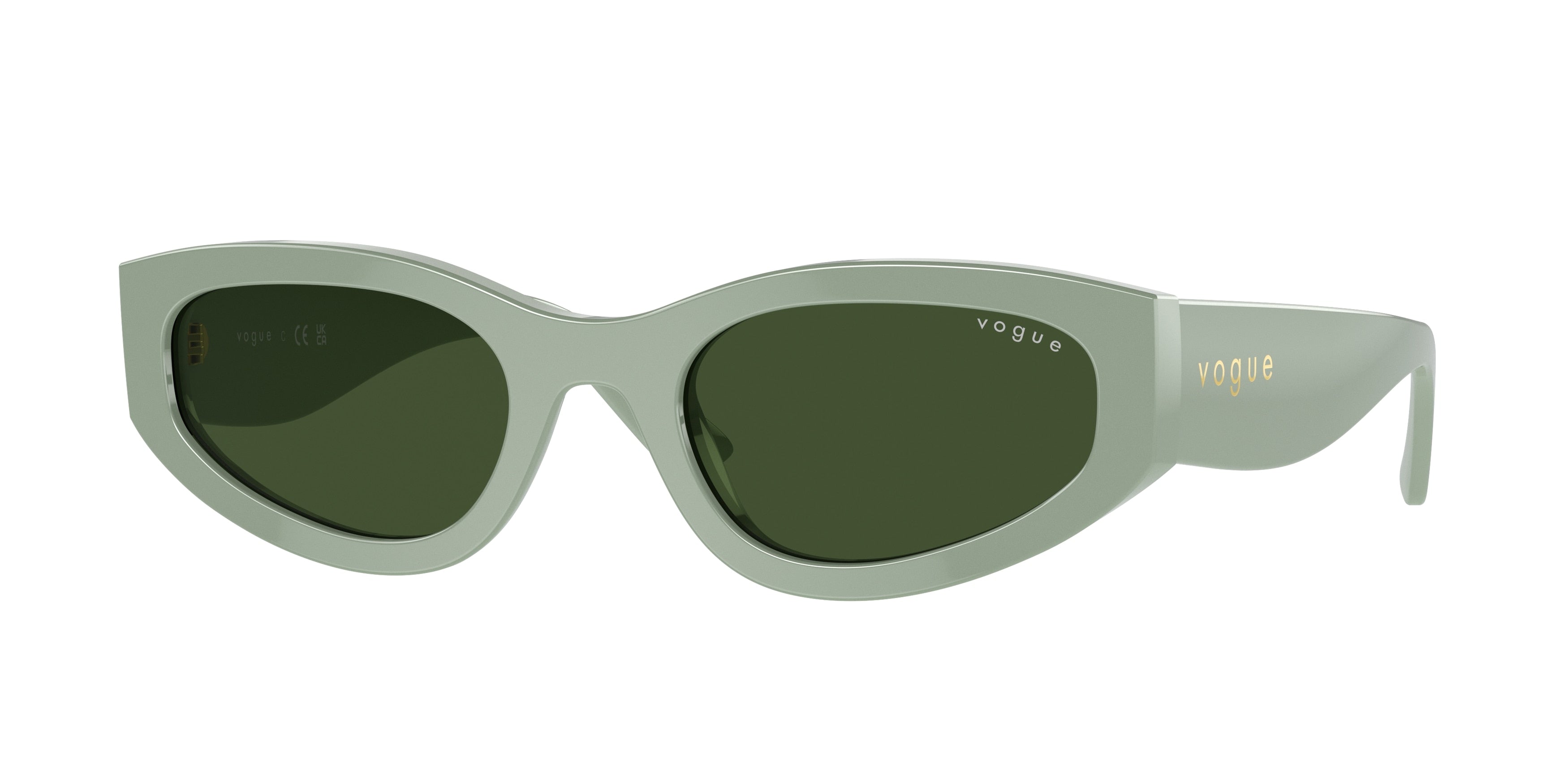 Vogue VO5585S Irregular Sunglasses  316171-Full Light Green 54-140-22 - Color Map Green