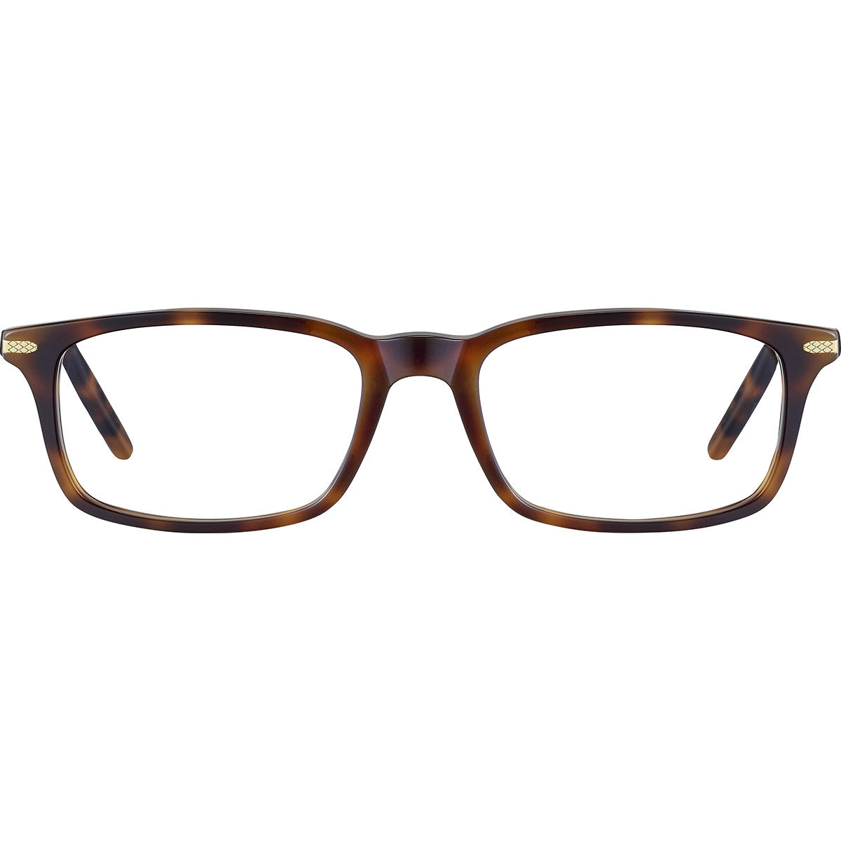 Serengeti Clint Optic Eyeglasses  Shiny Tortoise Havana Medium