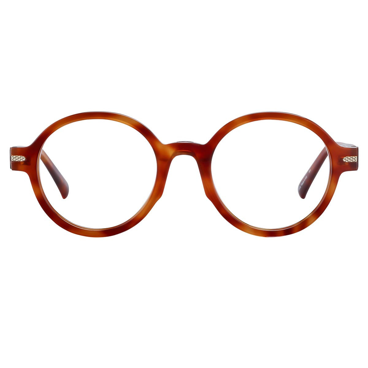 Serengeti Gervais Optic Eyeglasses  Shiny Classic Havana Medium