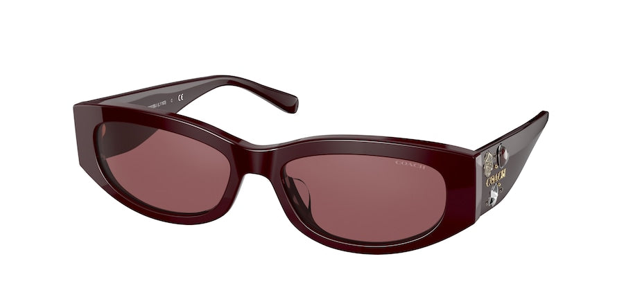 Coach L1163 HC8302BU Irregular Sunglasses