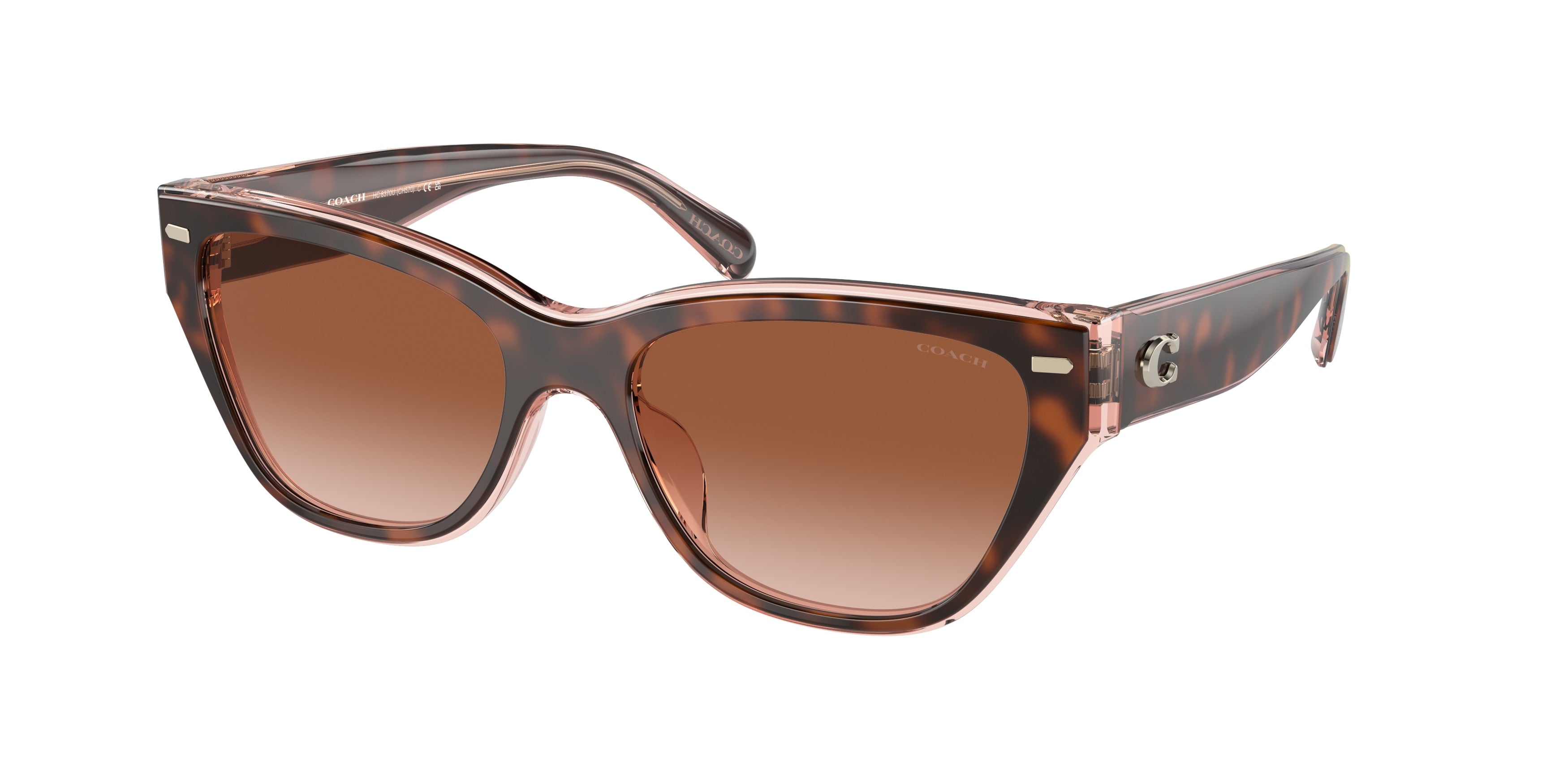 Coach cat outlet eye sunglasses