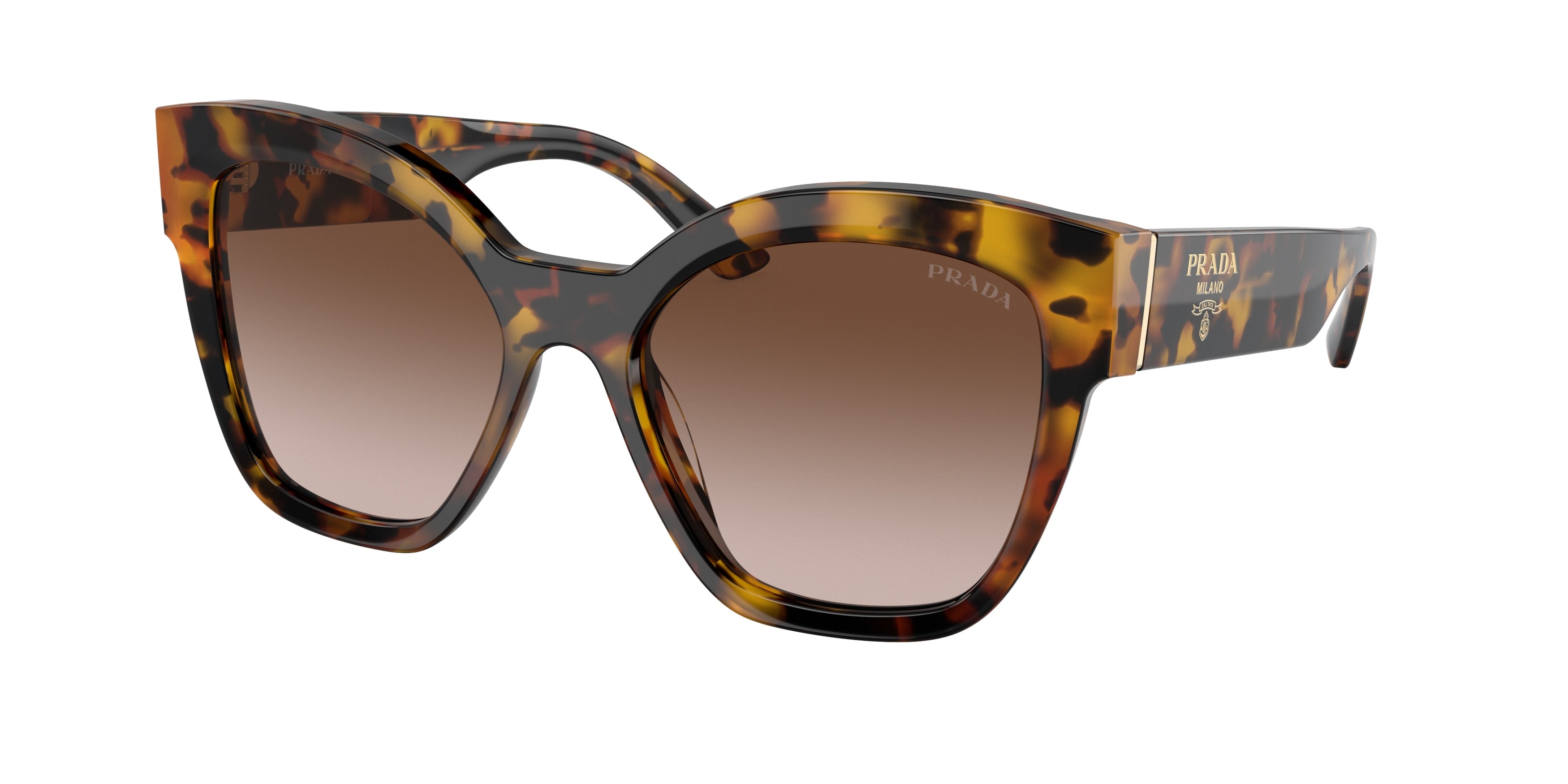 Prada PR17ZS Square Sunglasses  VAU6S1-Honey Tortoise 54-140-18 - Color Map Tortoise