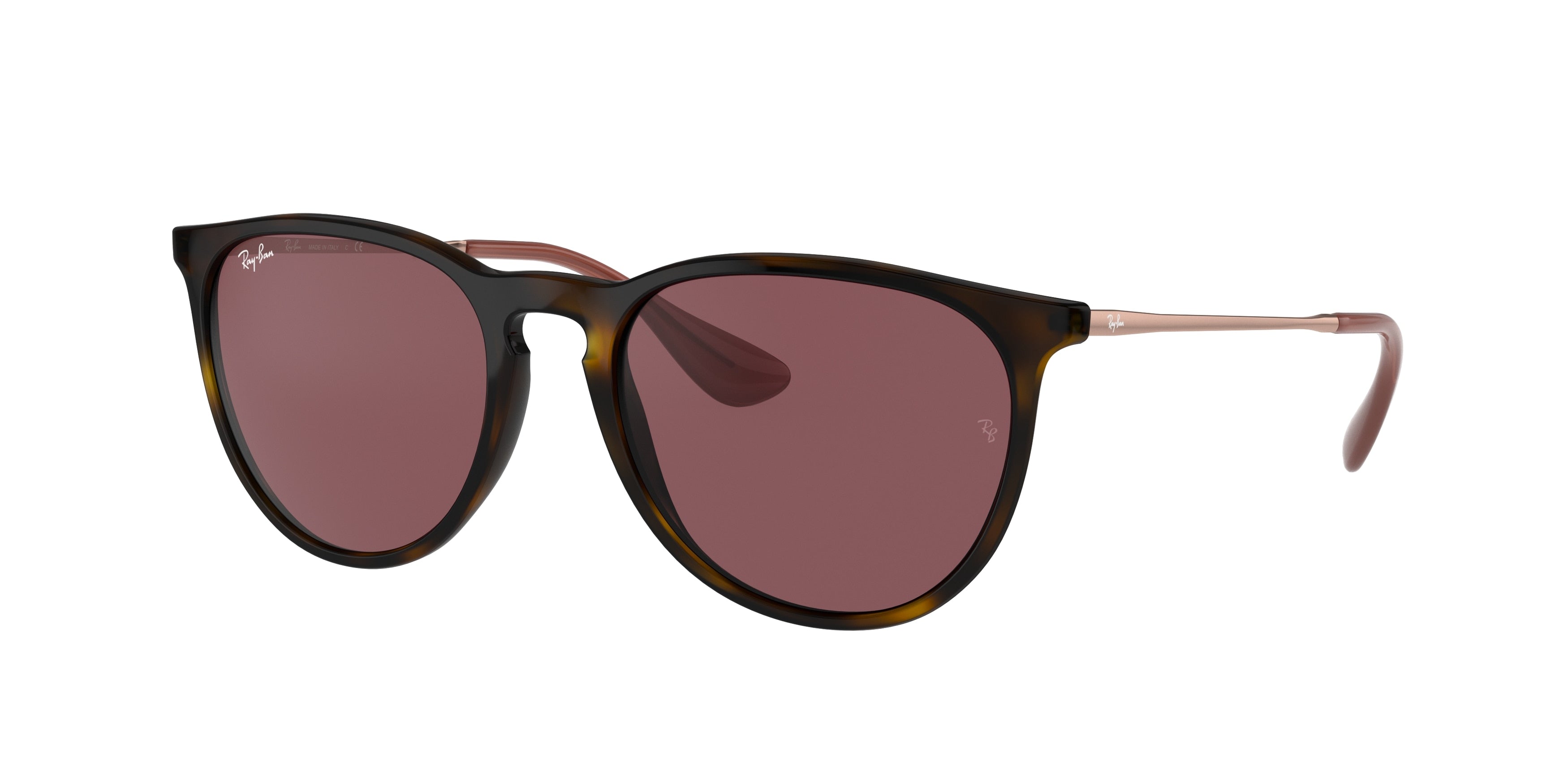 Ray ban erika classic tortoise polarized online